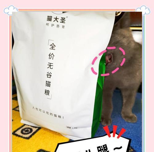 猫大圣猫粮导致粑粑臭怎么办？原因是什么？