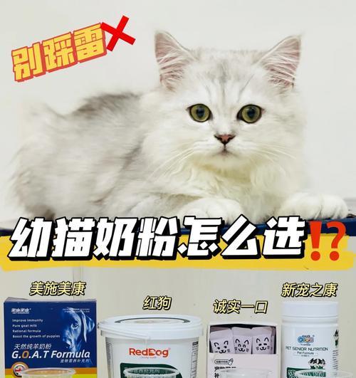猫咪没有猫粮时可以喝什么奶粉？选择奶粉的建议是什么？
