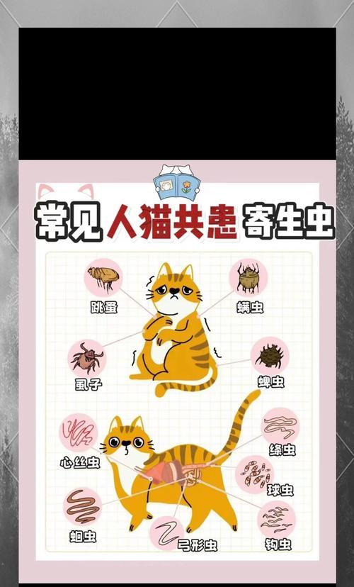 猫粮中为何会长小虫？这种情况如何避免？