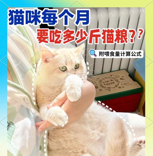 新萃猫粮喂食量怎么算？如何根据猫咪体重计算合适的猫粮喂食量？