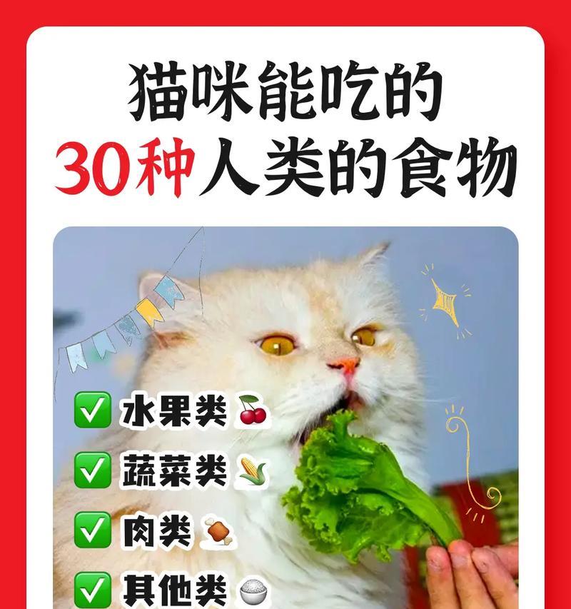 简州猫能吃人类猫粮吗？有哪些适合的猫粮推荐？