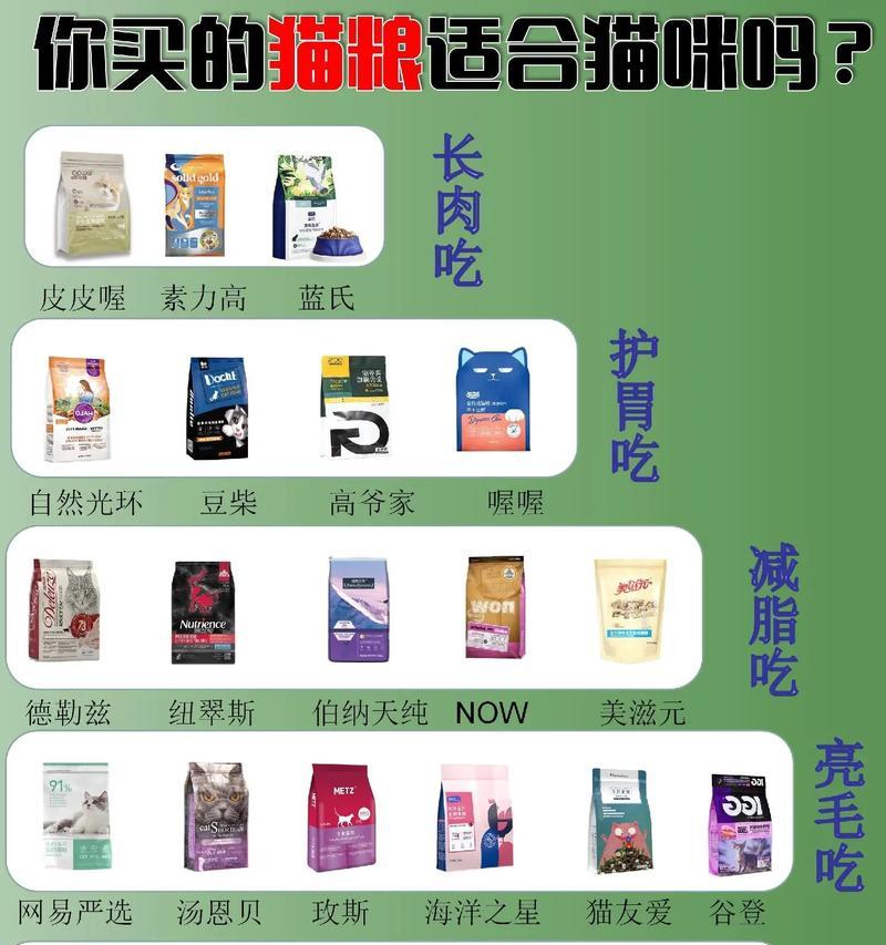 简州猫能吃人类猫粮吗？有哪些适合的猫粮推荐？