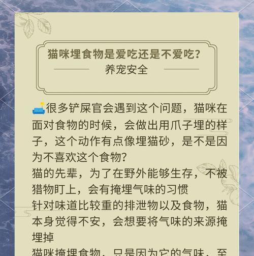猫咪为何不共用食盆？如何解决？