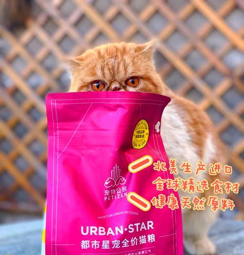 猫粮需要倒入米桶中吗？这样做有何理由？