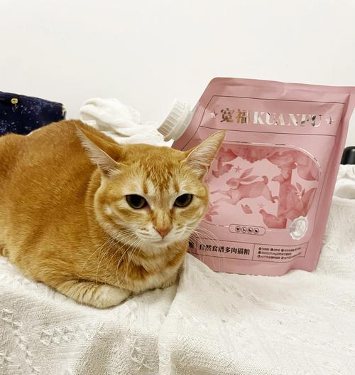 猫粮多久更换一次合适？如何判断是否需要更换？
