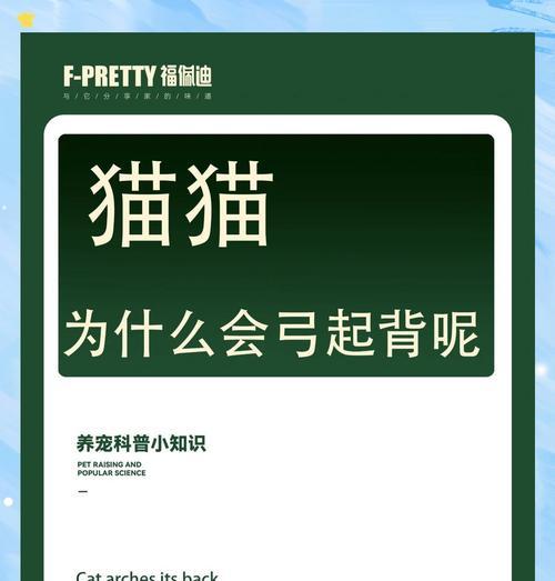 猫咪偏爱烤冷面是否正常？这背后的原因是什么？