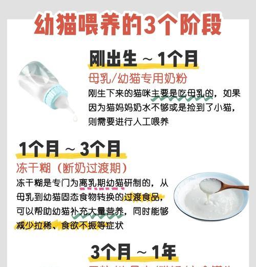 小奶猫首次吃猫粮何时排便？需要注意什么？