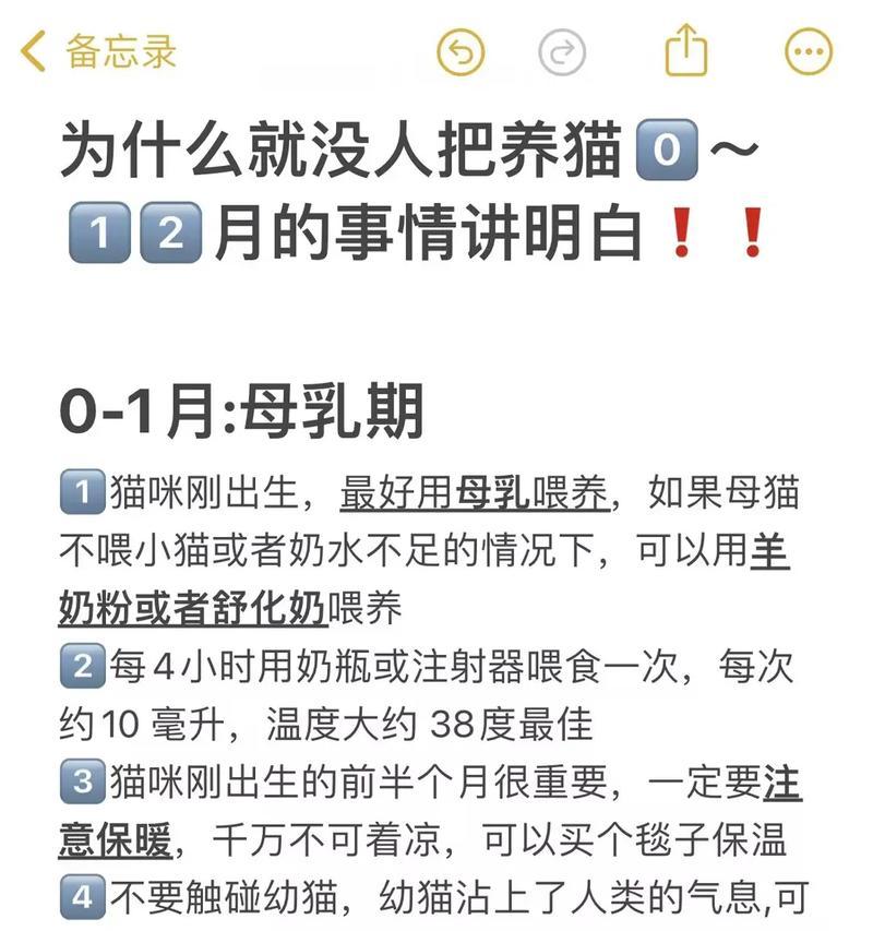 小奶猫首次吃猫粮何时排便？需要注意什么？