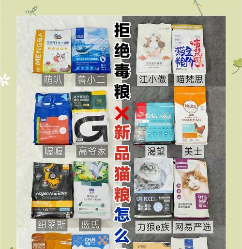 如何正确在猫窝投喂猫粮？最佳方法是什么？