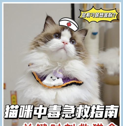 商家重新封猫粮是否违法？遇到这种情况该如何投诉？