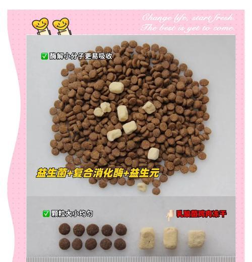 普通猫粮如何改善消化？掺什么可以提高消化率？