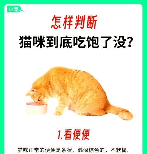 小猫不吃猫粮是挑食吗？如何判断小猫的食欲问题？