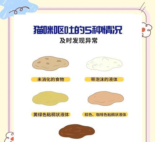 猫吃猫粮为什么会吐？这是怎么回事？