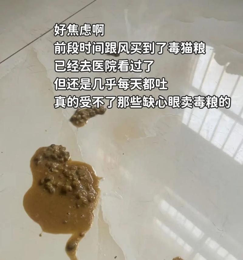 猫咪食用发霉猫粮会引发哪些健康问题？