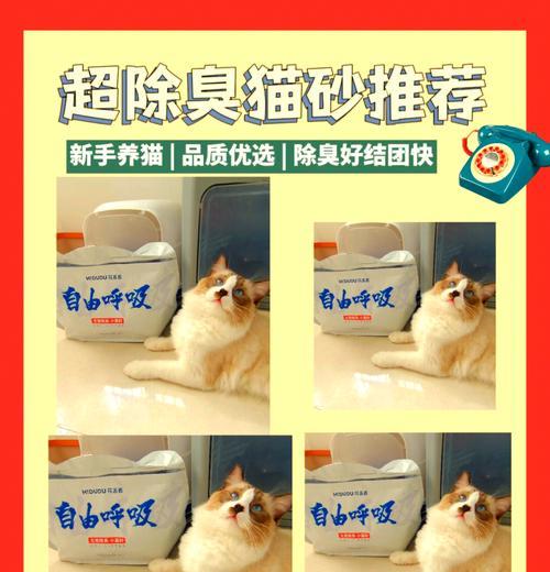 猫砂猫粮有人使坏怎么办？如何保护宠物的安全？