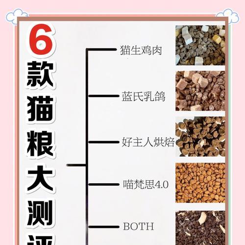如何找到性价比高的优质猫粮？