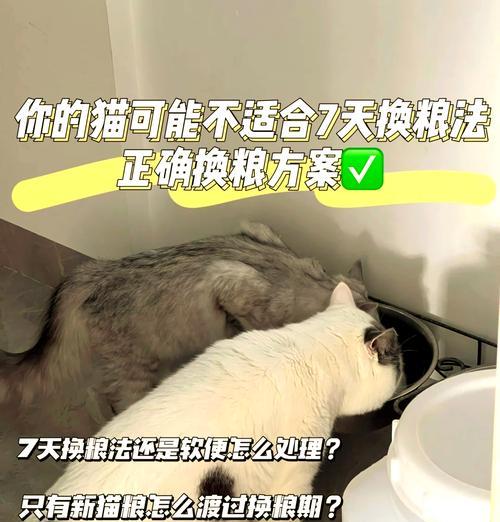 小猫换猫粮的最佳方法是什么？过渡期需要多久？