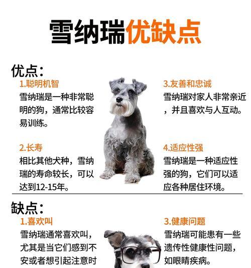 平度宠物店的雪纳瑞价格是多少？购买时需要注意什么？