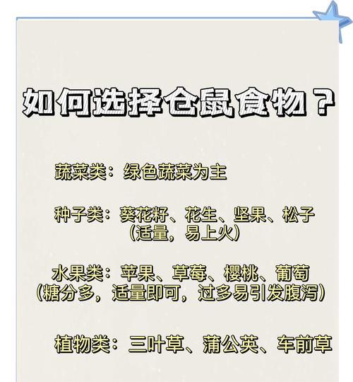 老鼠可以长期吃猫粮吗？这样做有哪些潜在风险？