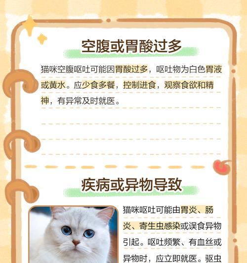 猫粮导致呕吐的常见原因？
