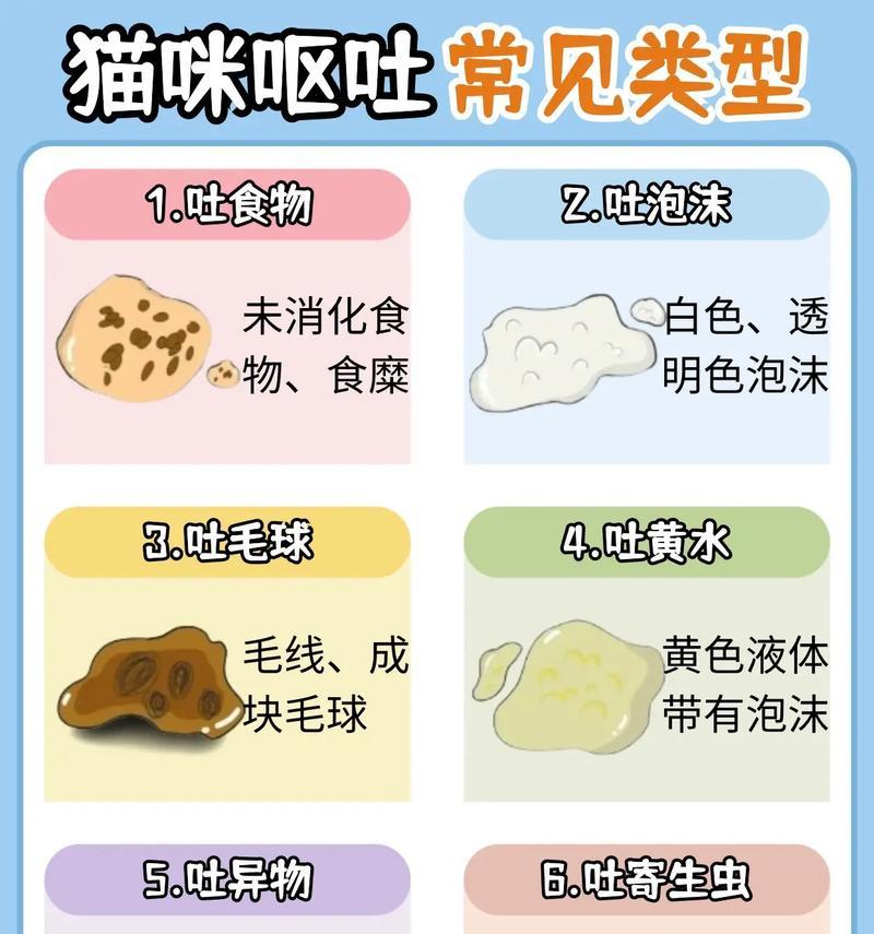 猫粮导致呕吐的常见原因？