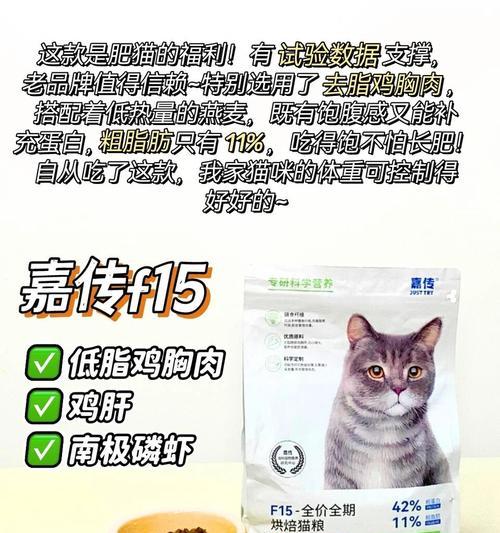 猫咪过胖应该选择哪种猫粮？如何调整饮食？