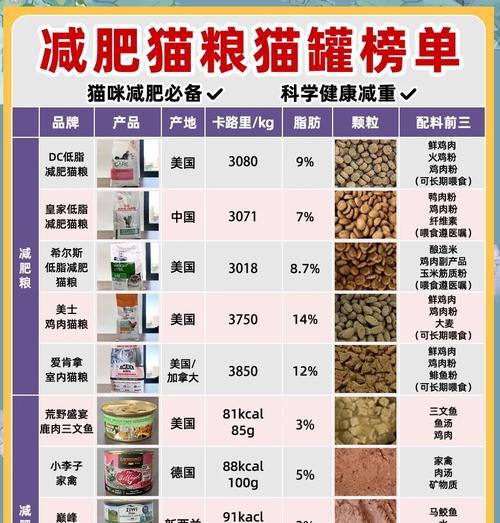 猫咪过胖应该选择哪种猫粮？如何调整饮食？