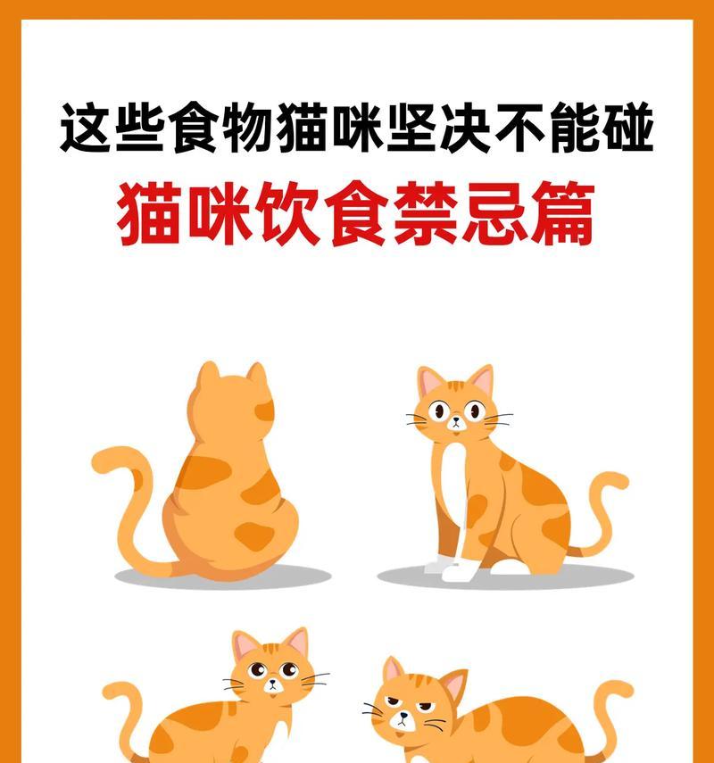 五秒不吃猫粮的猫叫什么？这是猫咪的什么行为？