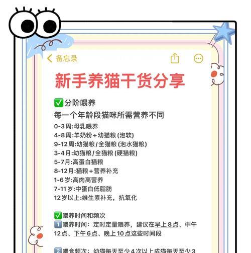 猫可以喂粮吗？如何正确喂食猫粮？