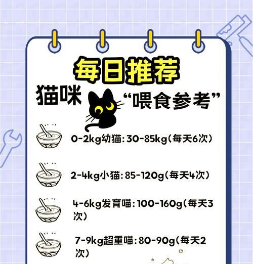 猫可以喂粮吗？如何正确喂食猫粮？
