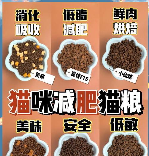 哪种猫粮既能帮助猫咪增重又安全？