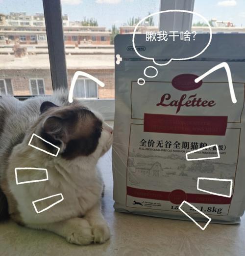 猫为何用手挖猫粮？这是什么行为表现？