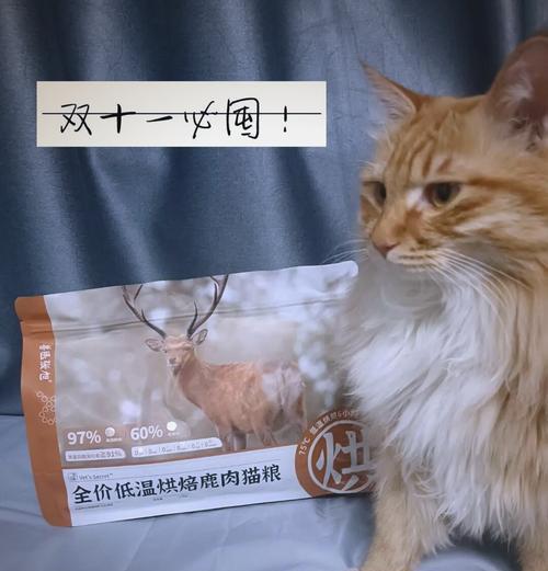 猫为何用手挖猫粮？这是什么行为表现？