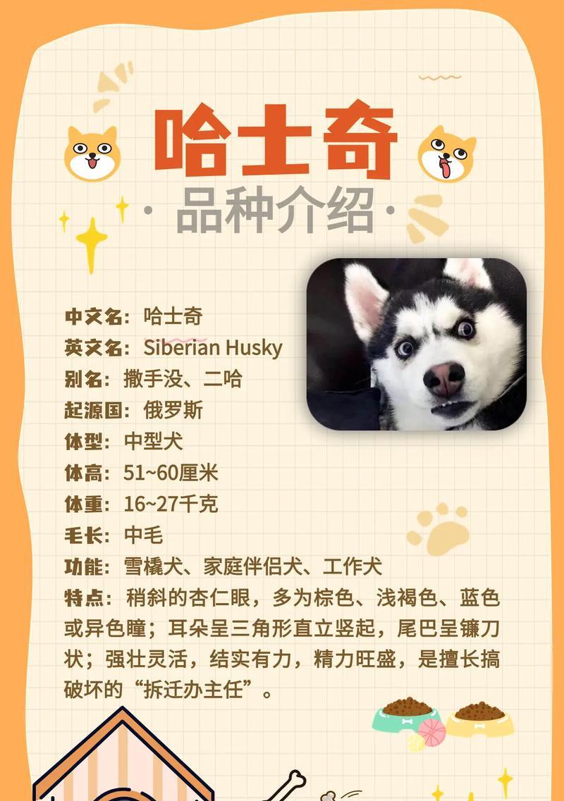 哈士奇性格如何被俄罗斯人看待？他们通常给出哪些评价？