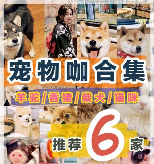 羊驼凝胶球眼罩的正确使用方法是什么？