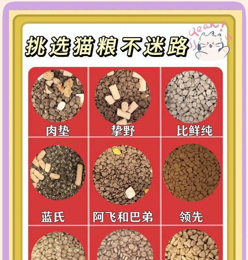 中途带回家的猫应该喂哪种猫粮？
