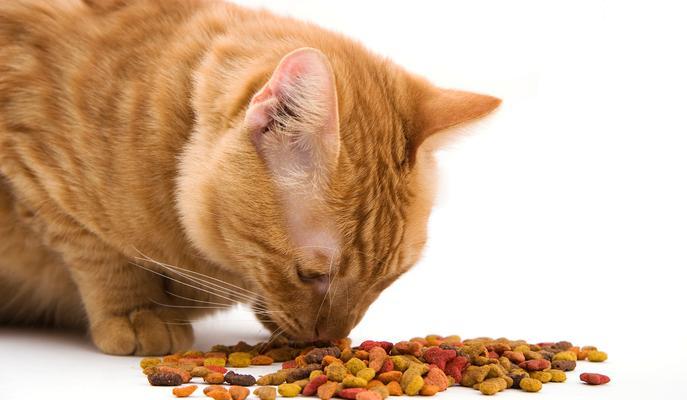 淮南哪里可以摆摊卖猫粮？