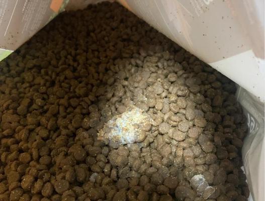 猫粮发霉有哪些迹象？如何判断猫粮是否变质？
