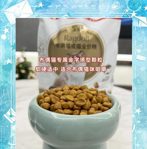 布偶猫食量小如何增加？有哪些促进食欲的方法？