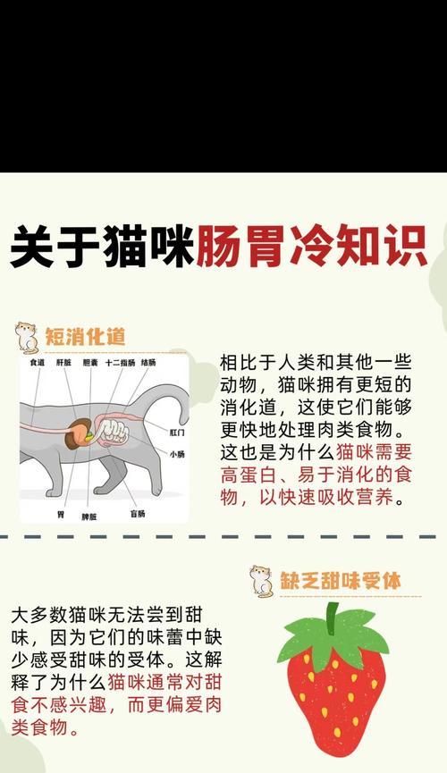 幼猫可以吃成猫猫粮吗？消化不良怎么办？