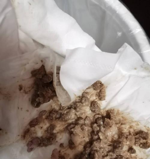 驱虫后猫吐猫粮正常吗？出现这种情况应该怎么办？