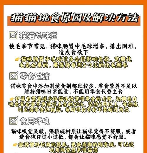 猫咪挑食时应选择哪种猫粮？