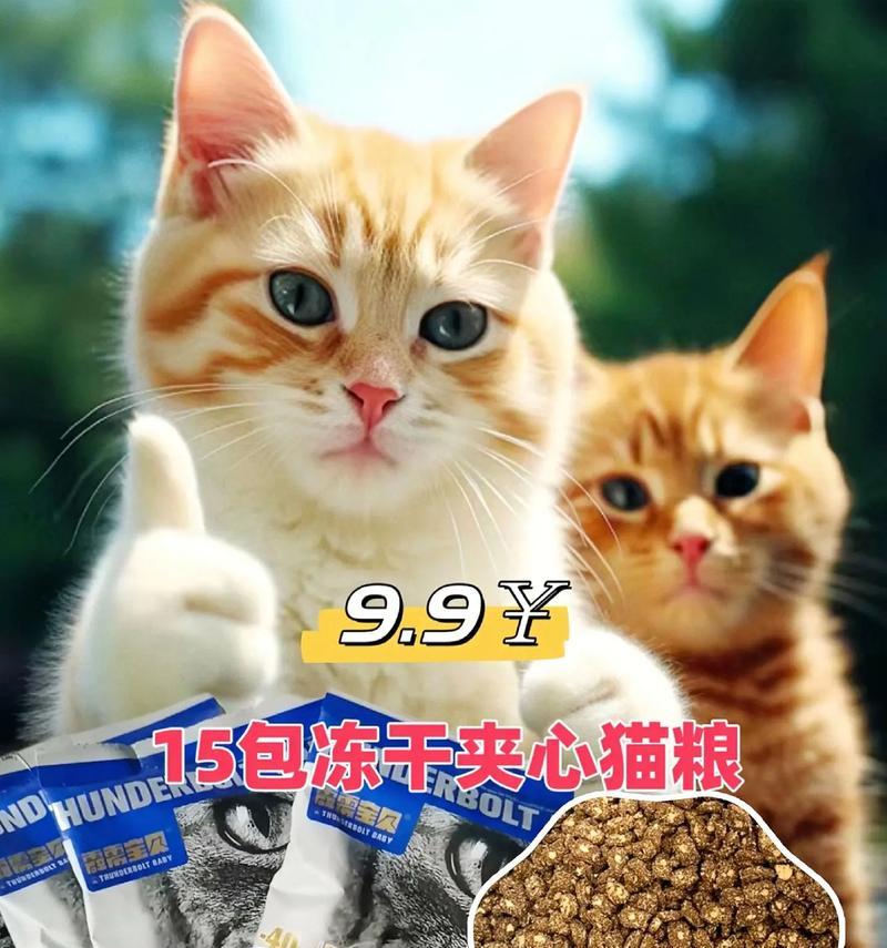 白猫家推荐的猫粮有哪些特点？