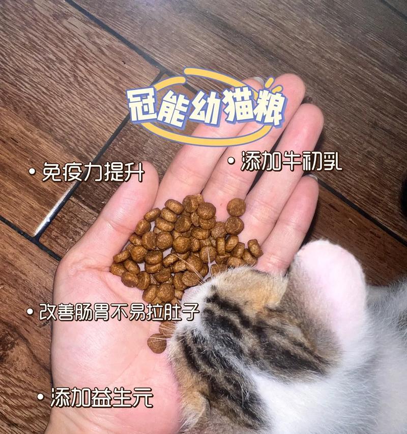一个半月大的小猫可以吃猫粮吗？原因是什么？