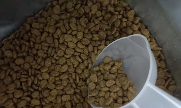 猫粮受潮后颜色变化是否正常？