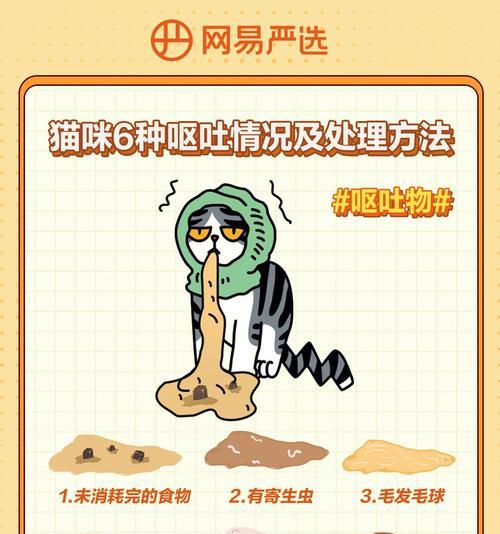猫咪呕吐后如何处理猫粮？