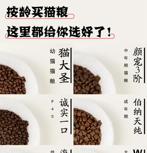 给小猫自制猫粮怎么做？自制猫粮的营养均衡如何保证？