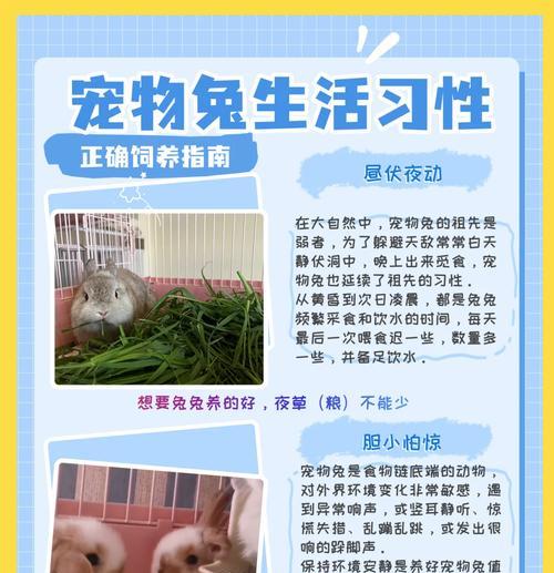 小白兔吃猫粮的原因是什么？