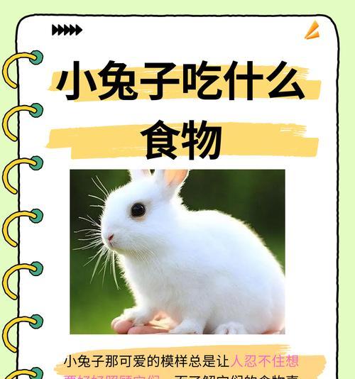 小白兔吃猫粮的原因是什么？