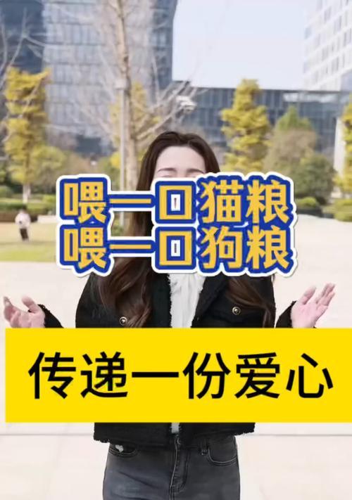 互动投喂猫粮怎么做的？有什么好处？